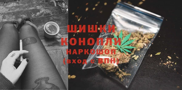 СК Сафоново