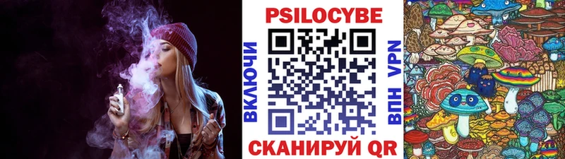 купить   Канаш  Галлюциногенные грибы прущие грибы 