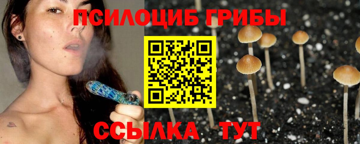 Галлюциногенные грибы мицелий  Вход с VPN  Канаш  Псилоцибиновые грибы мухоморы 