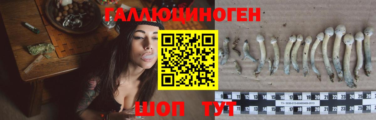 Псилоцибиновые грибы GOLDEN TEACHER Канаш